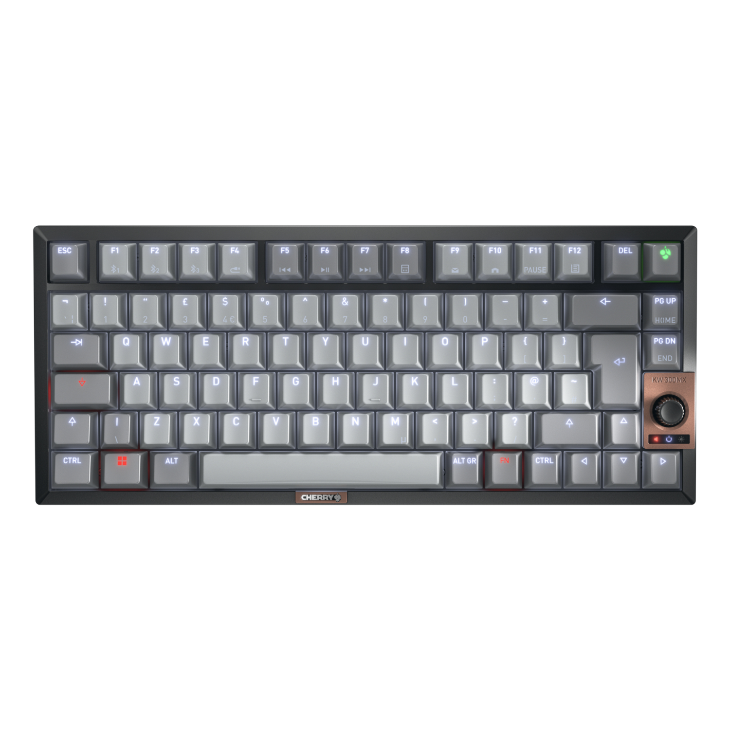 CHERRY 300W Keyboards - Multi
