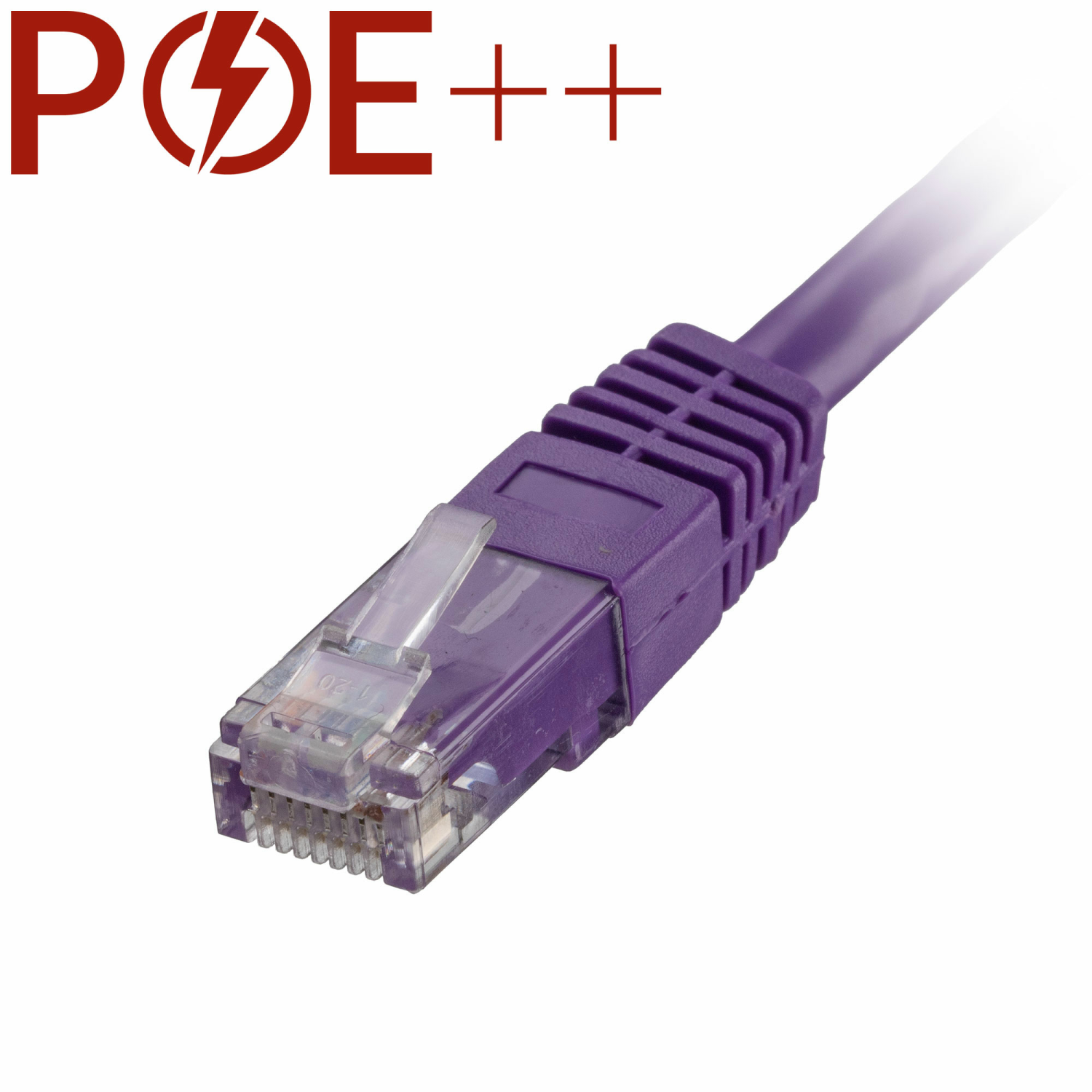 Cablenet Cat6 Networking Cables - Violet