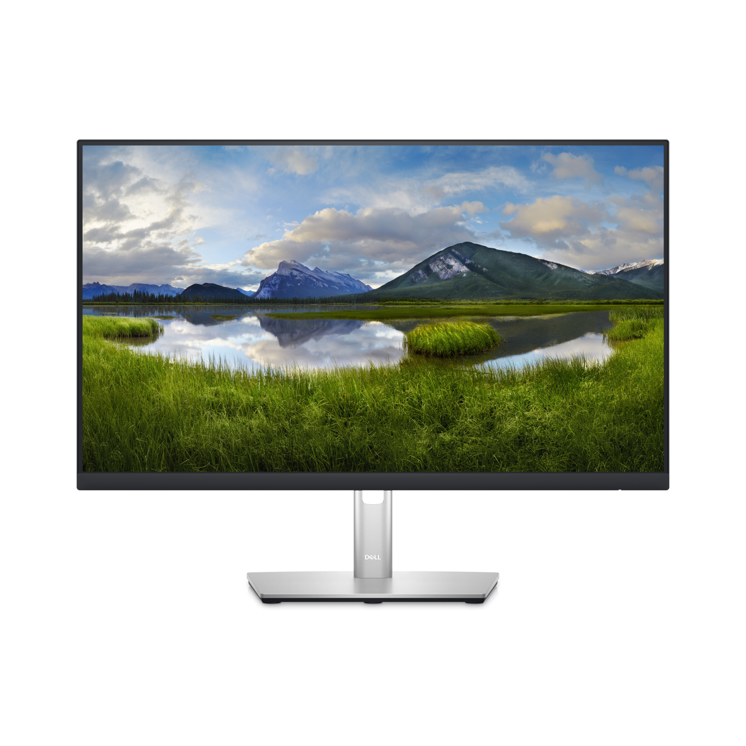 Dell P2423DE Computer Monitors - 23.8 Inches - Black