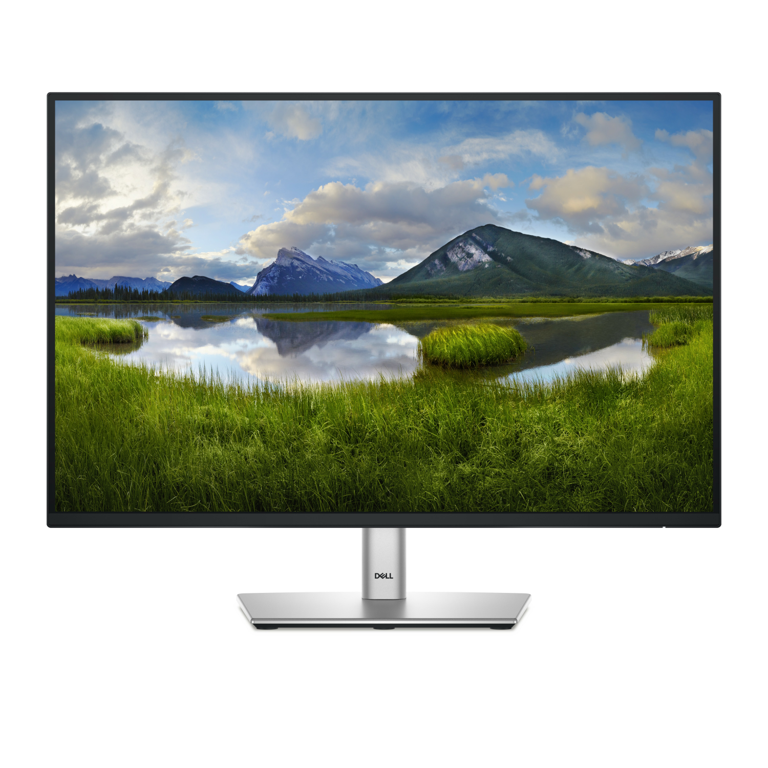 DELL P2425 Computer Monitors - 24.07 Inches - Black