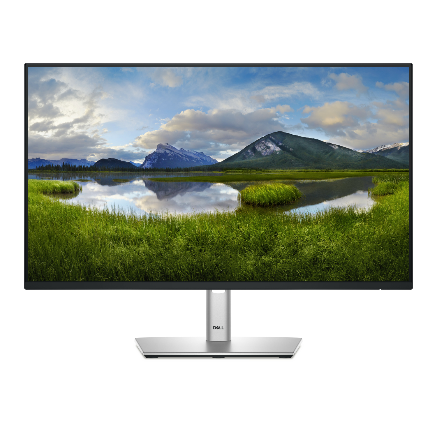DELL P2425H Computer Monitors - 23.8 Inches - Black