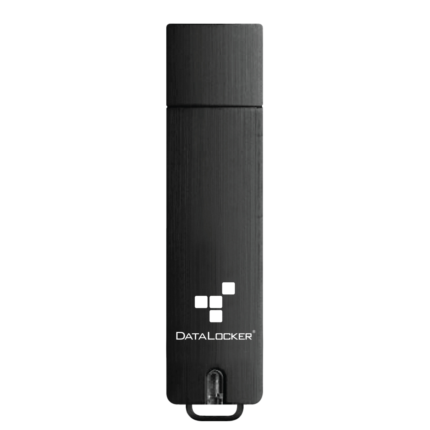DataLocker 32GB USB Flash Drives - Black