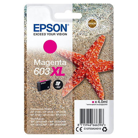 Epson C13T03A34010 Ink Cartridges