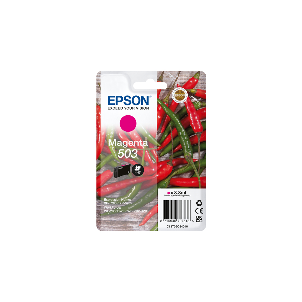 Epson C13T09Q34010 Ink Cartridges