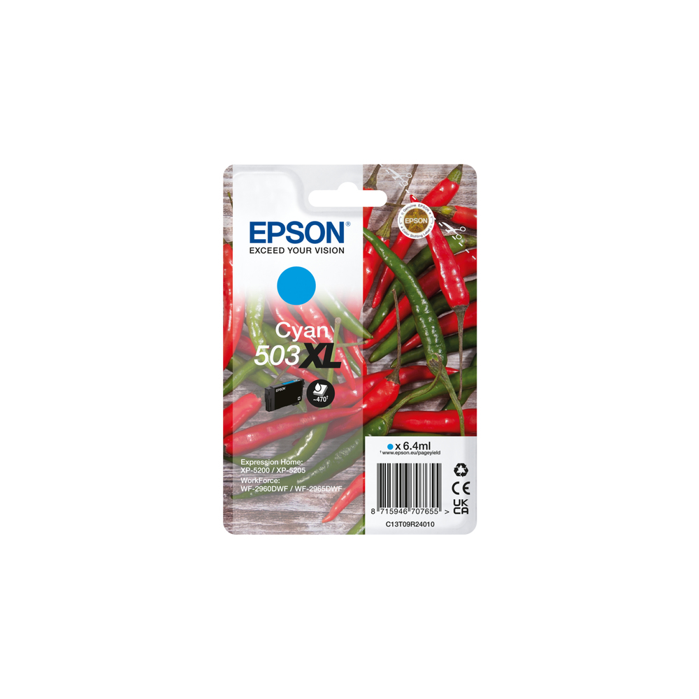 Epson C13T09R24010 Ink Cartridges