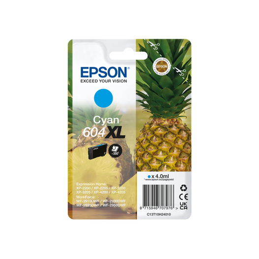 Epson C13T10H24010 Ink Cartridges