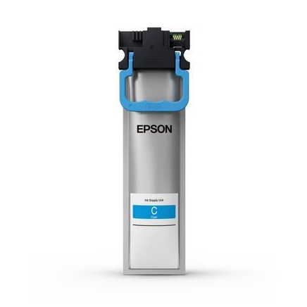 Epson C13T11D240 Ink Cartridges