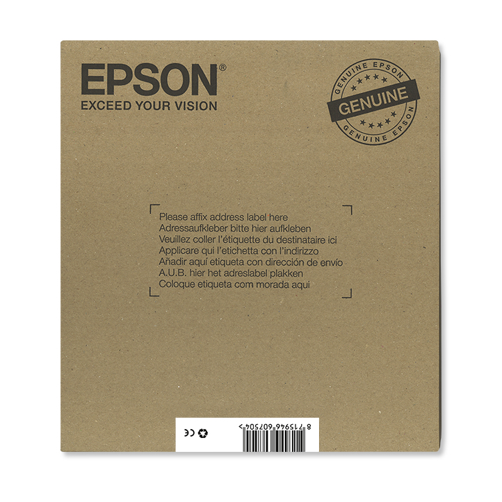 Epson C13T16264511 Ink Cartridges
