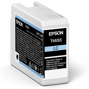 Epson C13T46S500 Ink Cartridges