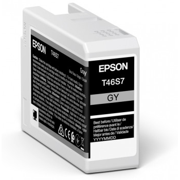 Epson C13T46S700 Ink Cartridges