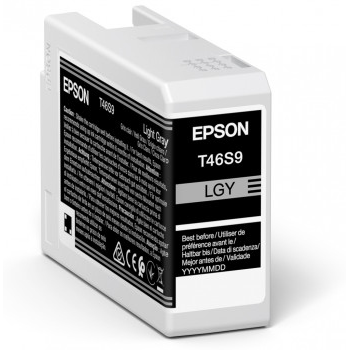 Epson C13T46S900 Ink Cartridges