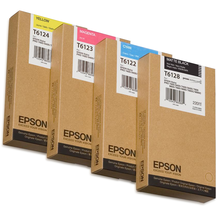 Epson C13T612300 Ink Cartridges