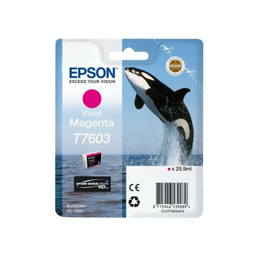Epson C13T76034N10 Ink Cartridges