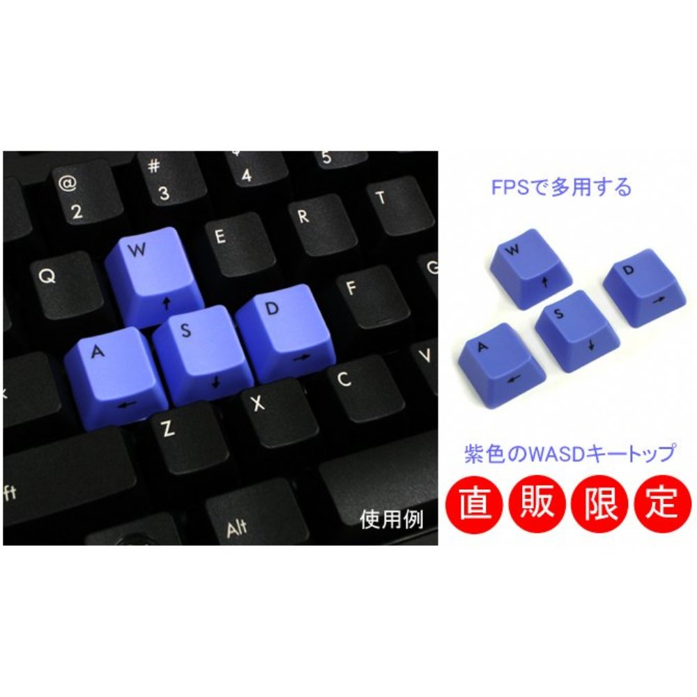 Filco Blue WASD Keys for Cherry MX Switches