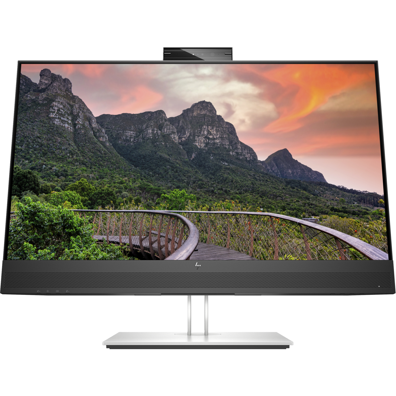 HP computer monitor