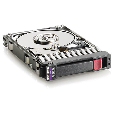 Hewlett Packard Enterprise 300GB Internal Hard Drives