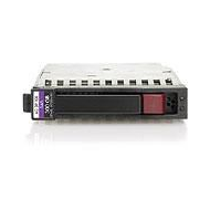 Hewlett Packard Enterprise 300GB Internal Hard Drives