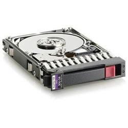 Hewlett Packard Enterprise 300GB Internal Hard Drives