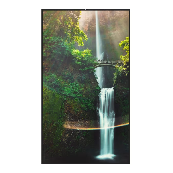 Hisense 55??? Window Facing - High Brightness Display