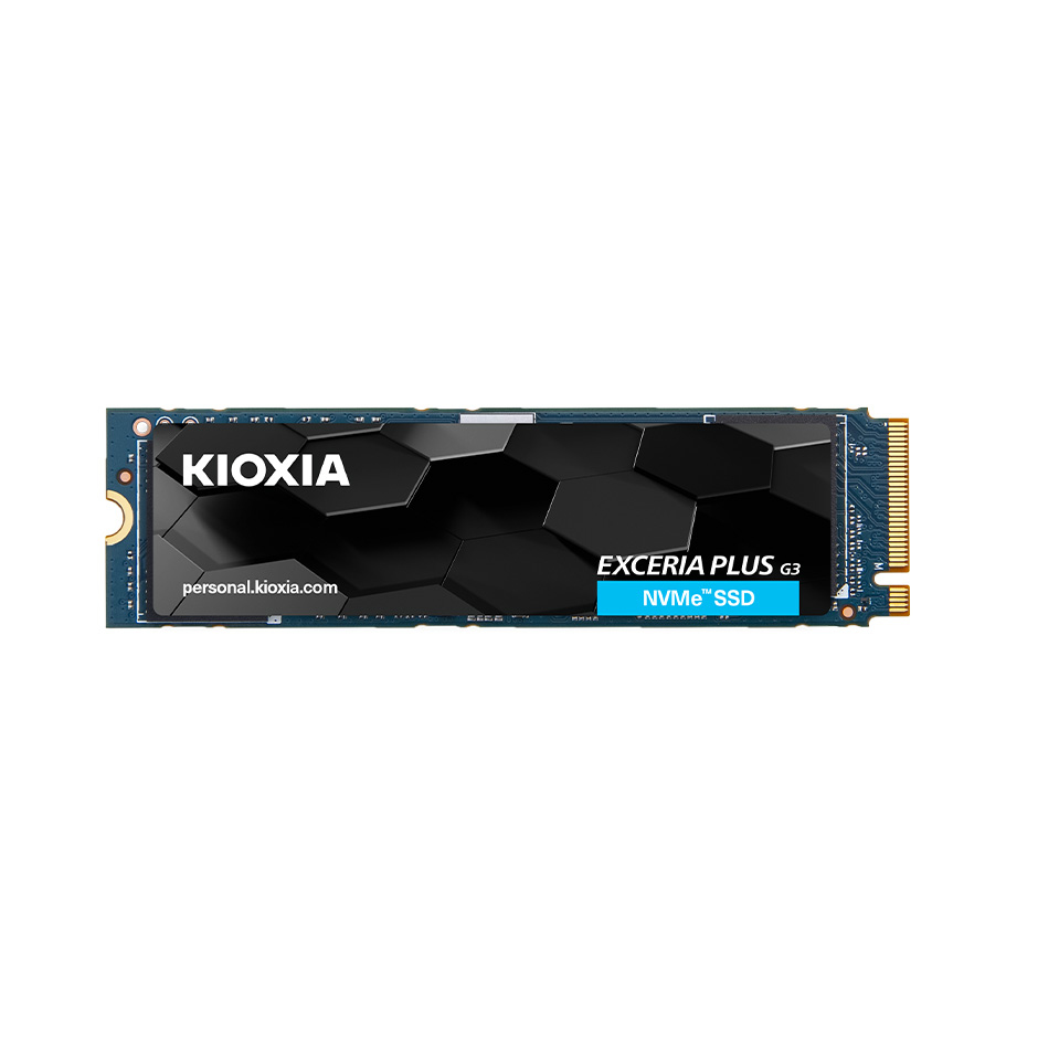 KIOXIA LSD10Z001TG8 Internal Solid State Drives