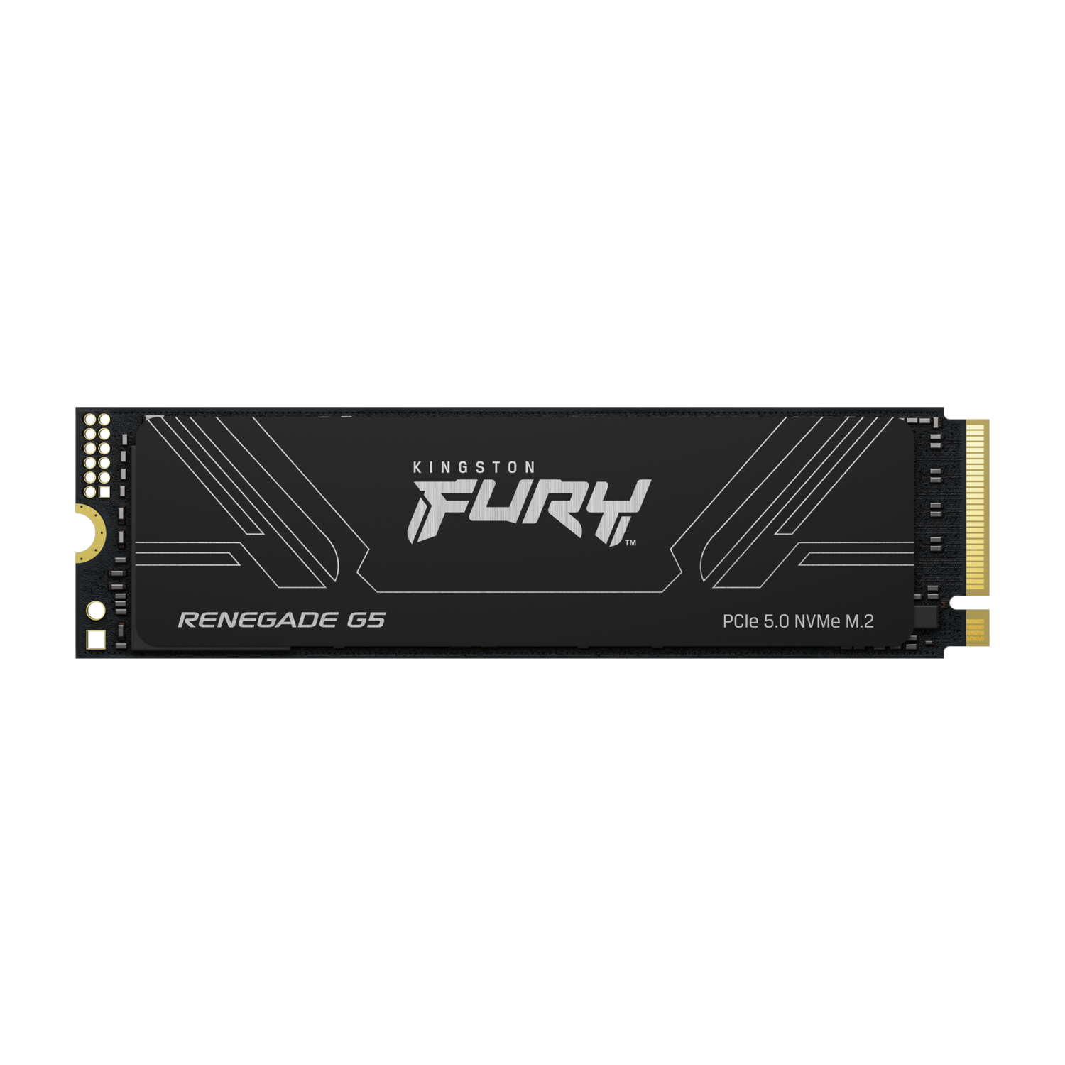 Kingston Technology 1T FURY RENEGADE G5 M.2 2280 NVMe SSD