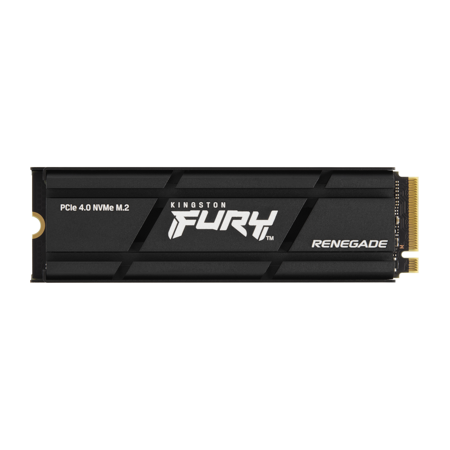 Kingston 1000G Internal Solid State Drives