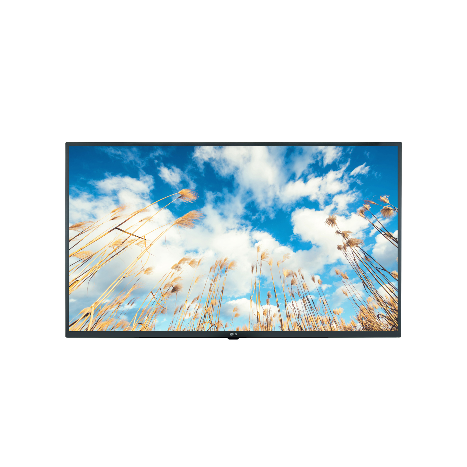 LG 55UM767H Hospitality TVs - 55 Inches - Grey