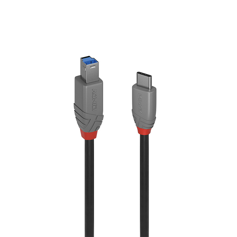 Lindy 5Gbps USB Cables - Black
