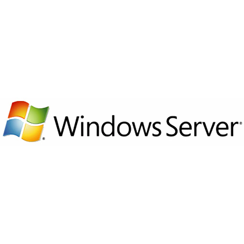 Microsoft Windows Server CAL, OLV-GOV, LIC/SA, 1u CAL, 1Y Aq Y1 Database Government (GOV) 1 license(s)