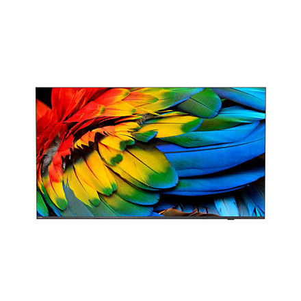 Philips 65HFL6214U TVs - 65 Inches - Anthracite