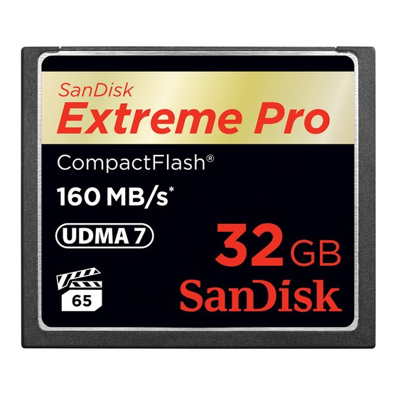 Sandisk 32GB Memory Cards