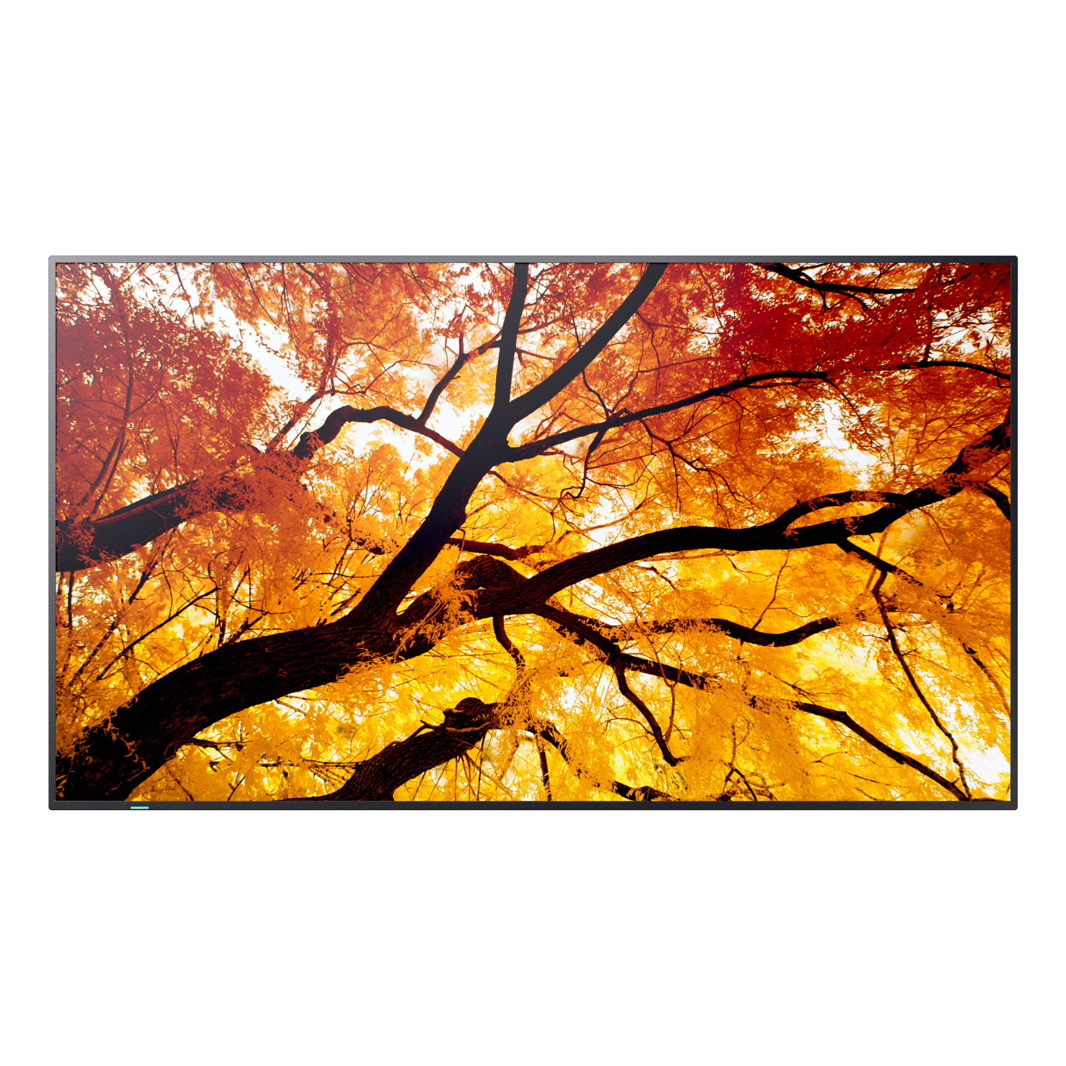 Sharp M752 Signage Displays - 74.5 Inches - Black