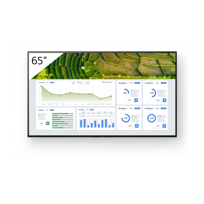 Sony FW-65BZ30L Signage Displays - 65 Inches - Black