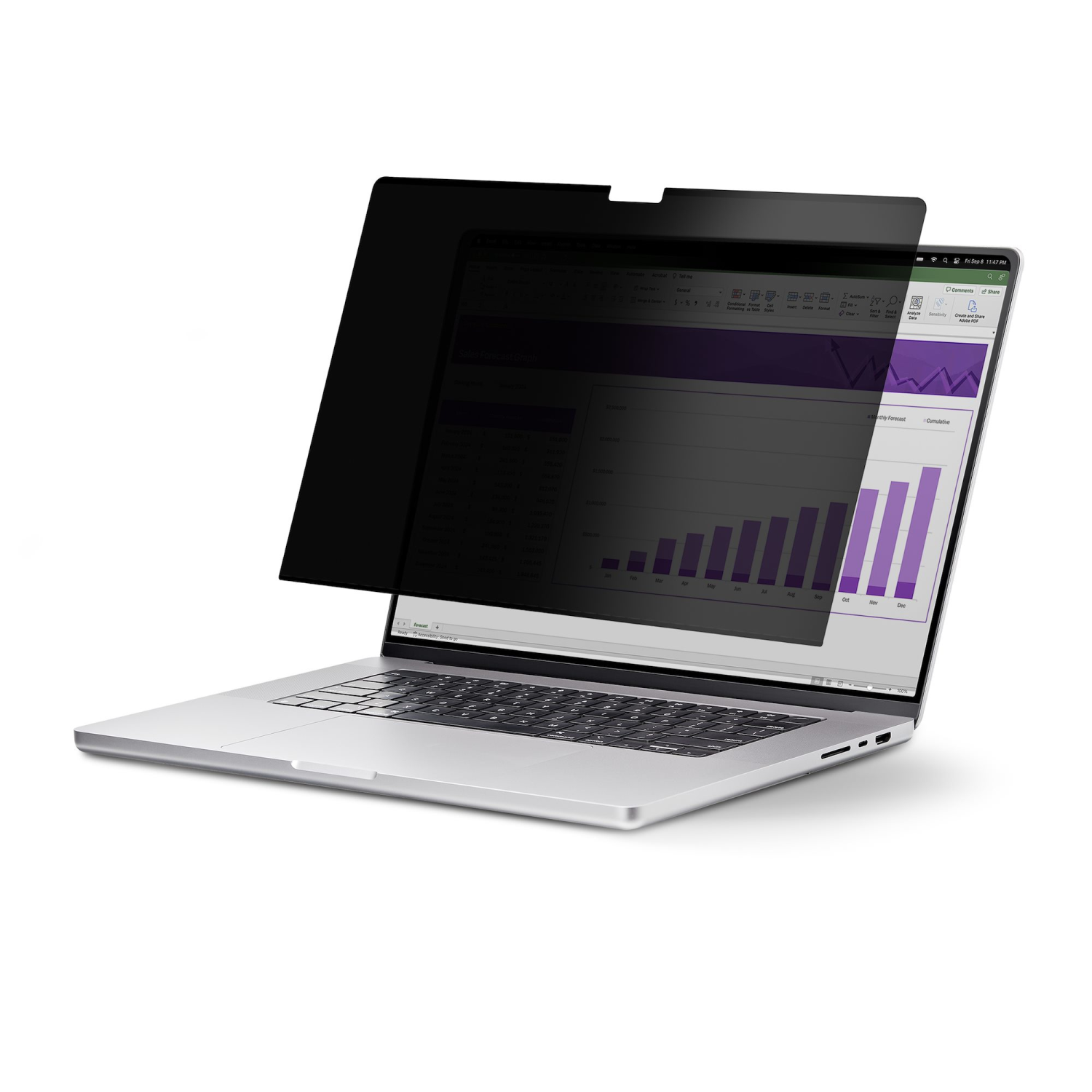 StarTech.com 13-inch Display Privacy Filters - Black