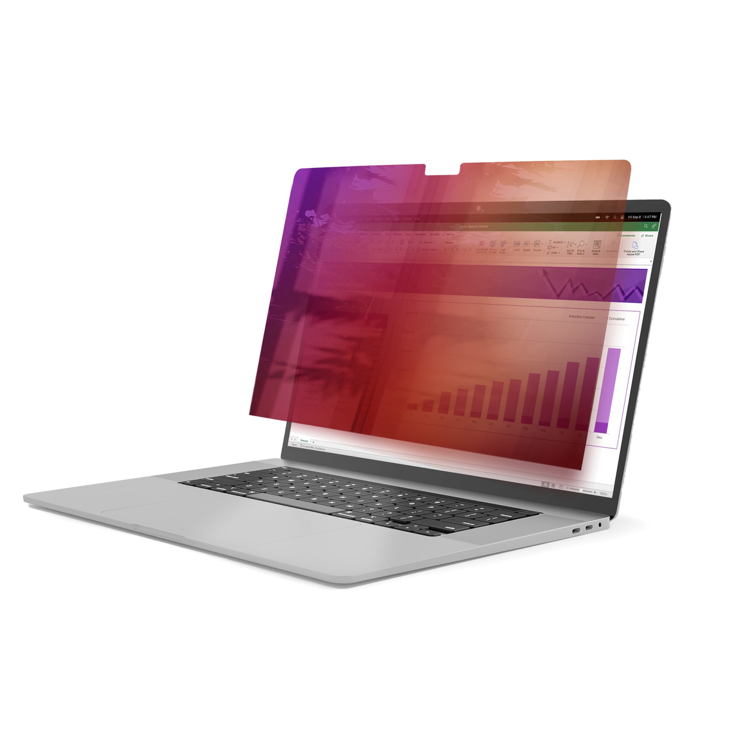 StarTech.com 14-inch Display Privacy Filters