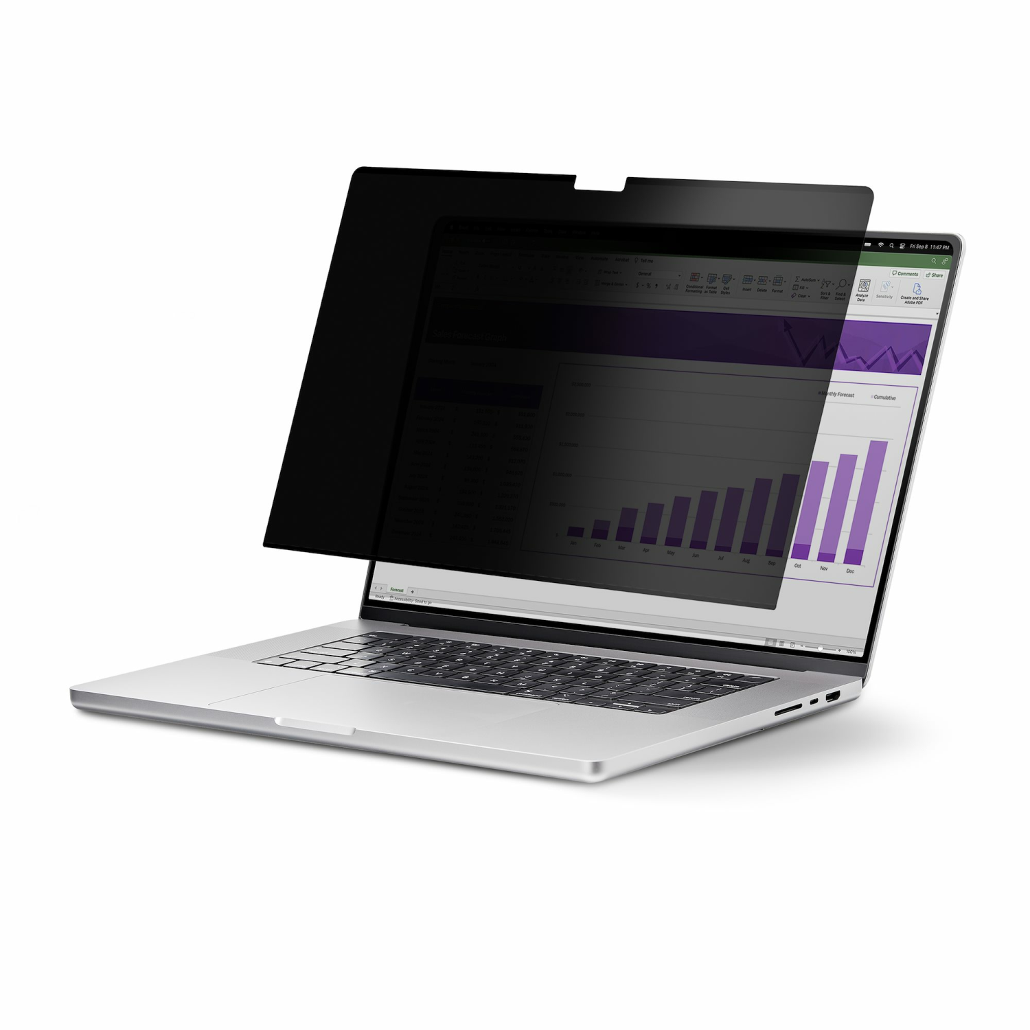 StarTech.com 6-inch Display Privacy Filters - Multi