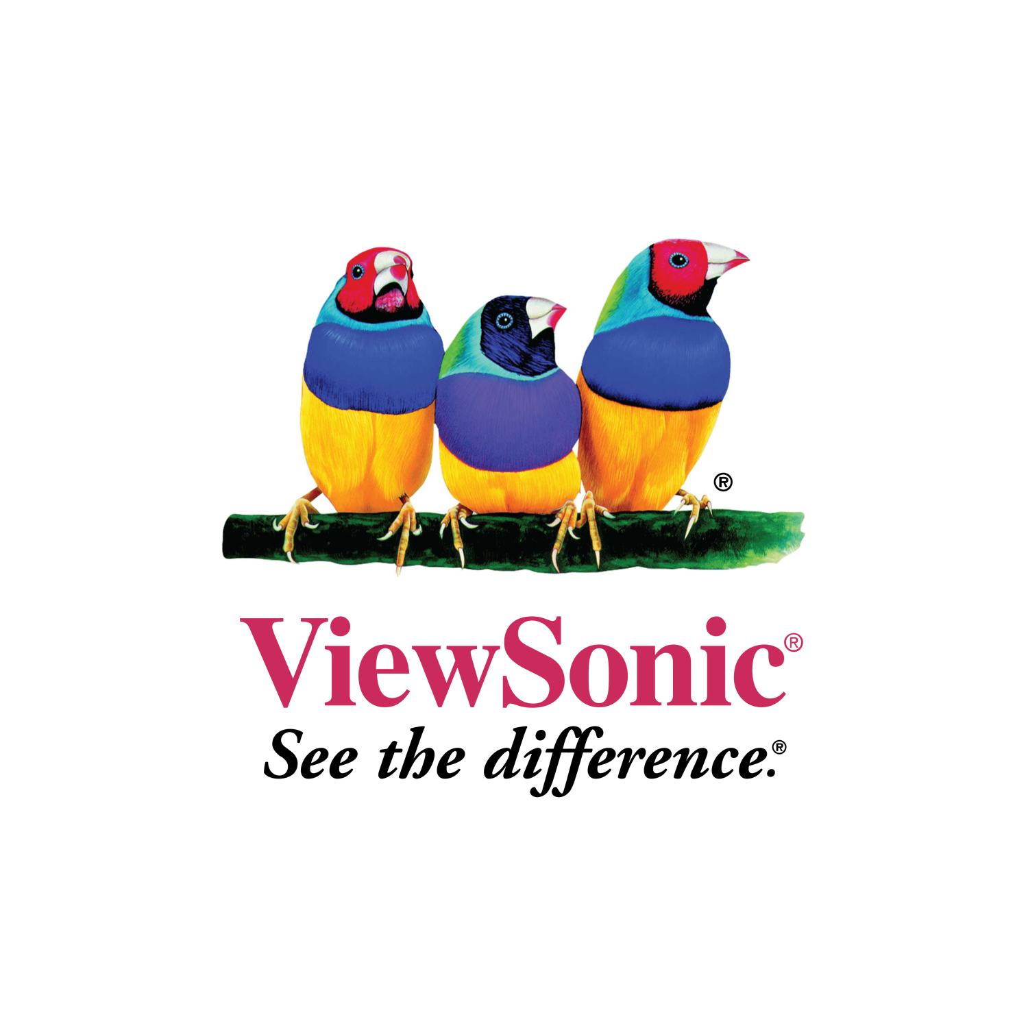 Viewsonic 10 Years On-Site srvc of 65" IFP Series