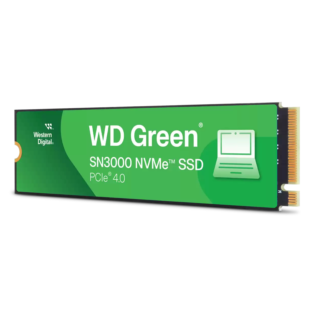 Western Digital SN3000 Internal Solid State Drives