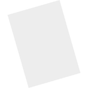 Zebra MISC-MC93-SCRN-01 Handheld Mobile Computer Accessories - Transparent