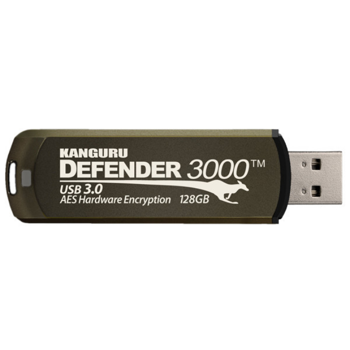 iStorage 3000™ USB Flash Drives - Brown