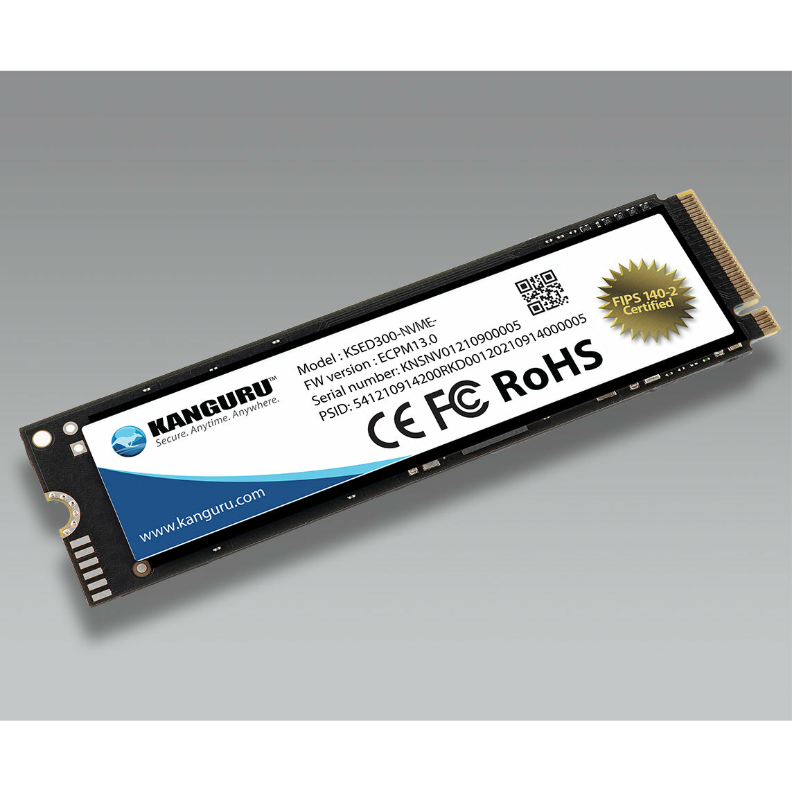 iStorage SED300 Internal Solid State Drives