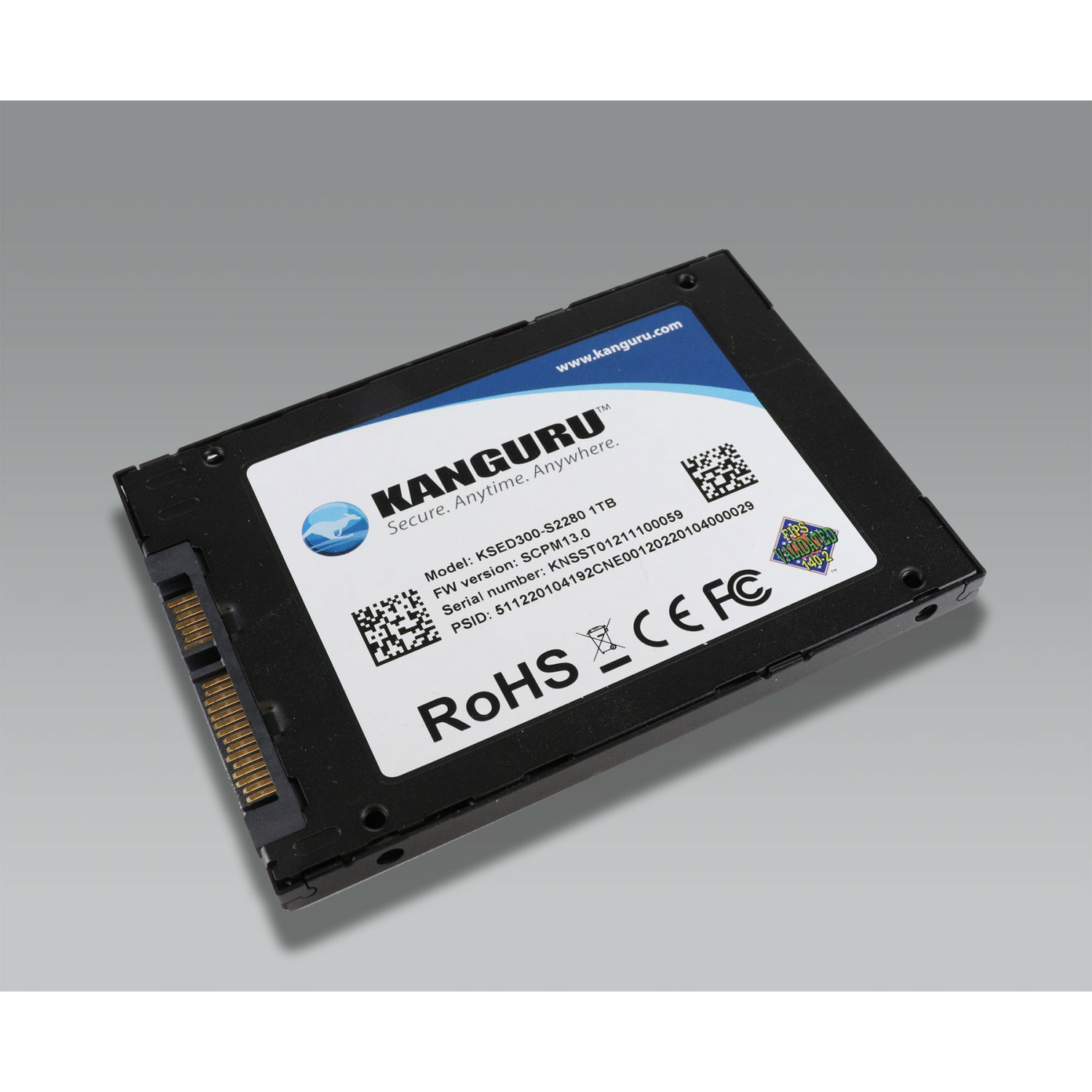 iStorage SED300 Internal Solid State Drives